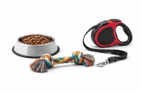 Կենդանիների պարագաներ Նկար