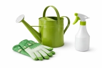 Տուն և այգի Նկար