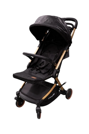 Մանկասայլակ Babydoes Esmio Gold 7.5կգ 0-3տ CH-3595B մոխրագույն