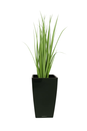 Ծաղկաման Lechuza Cubico Premium 30 (Black)