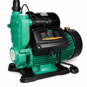 ՊոմպTWE 750  0,75kw 1"1 Թայֆու