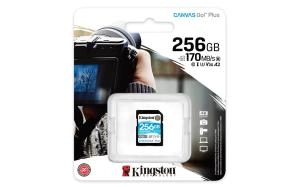 SD քարտ Kingston SDG3/256GB
