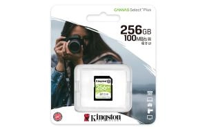 SD քարտ Kingston SDS2/256GB