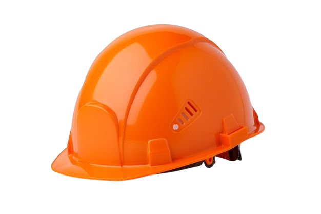 Lorem Ipsum has been the 2